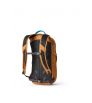 Раница Gregory Nano 18L Summer 2025